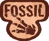 Illustration of Fossil