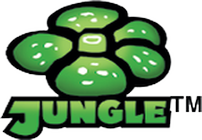 Illustration of Jungle