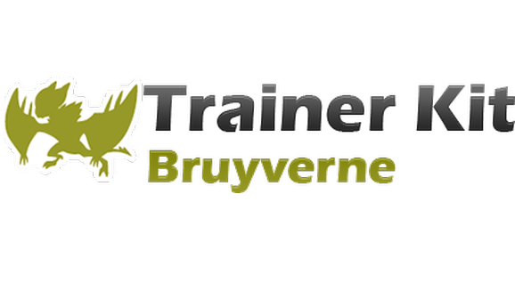 Illustration de Trainer Kit - XY - Bruyverne